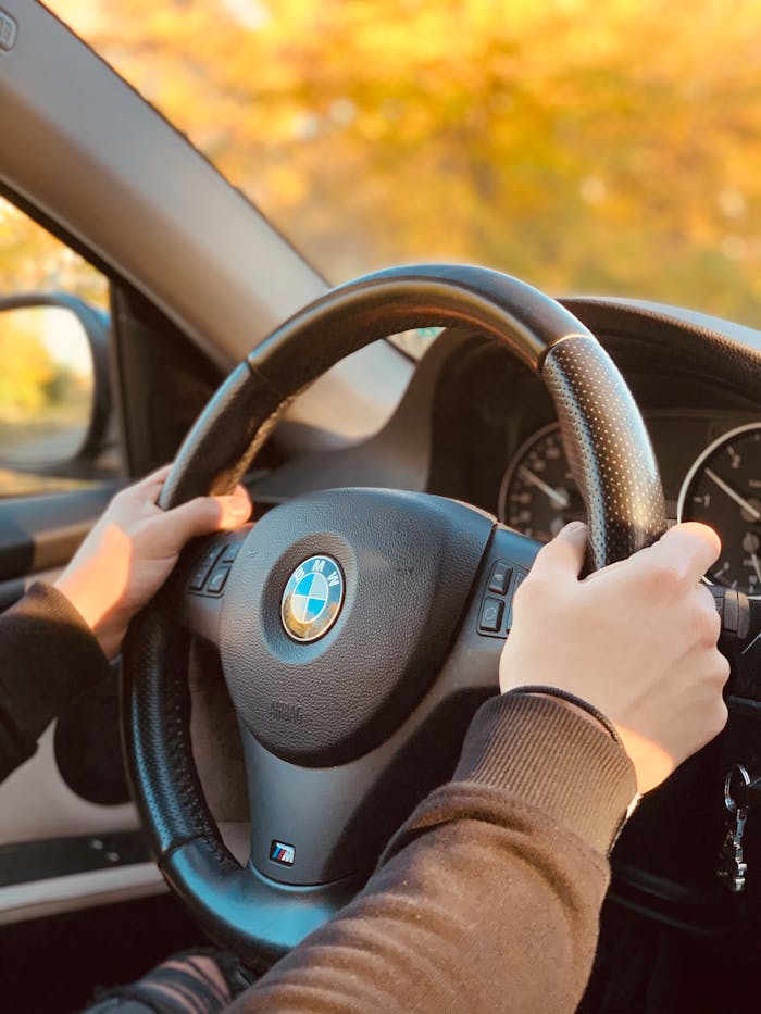 Services-02 Hands on BMW steering wheel during a sunny autumn drive, showcasing automotive precision.